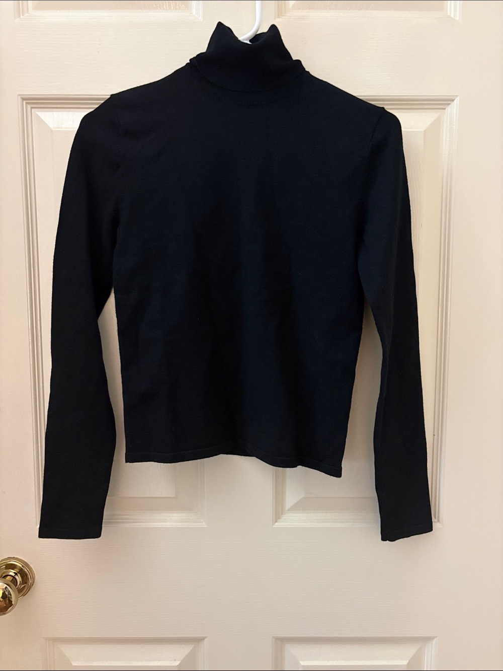 Aritzia Babton Leonara turtleneck